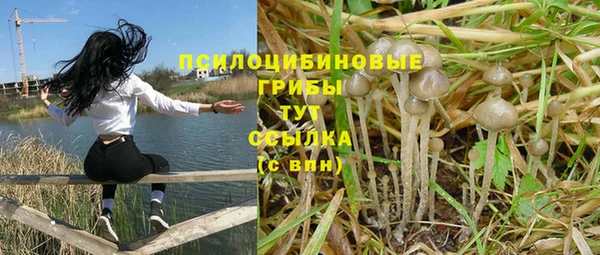 хмурый Бородино