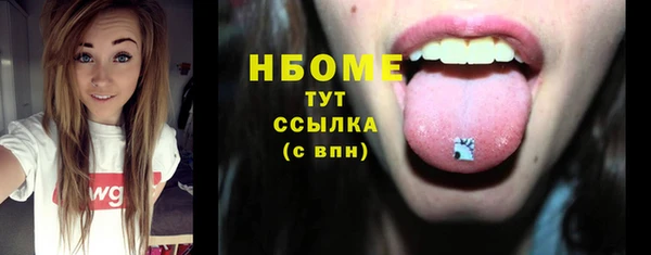 хмурый Бородино