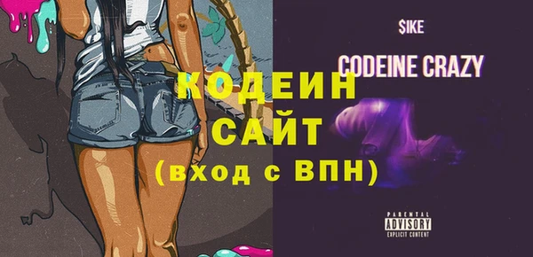 хмурый Бородино