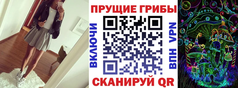 где найти наркотики Медвежьегорск Псилоцибиновые грибы Psilocybine cubensis