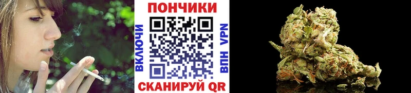 Бошки марихуана Amnesia  купить наркоту  Медвежьегорск 